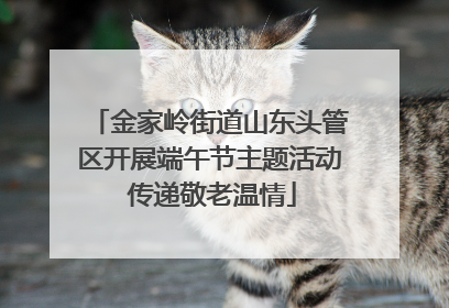 金家岭街道山东头管区开展端午节主题活动 传递敬老温情