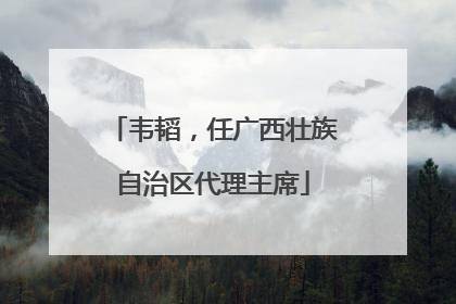 韦韬，任广西壮族自治区代理主席