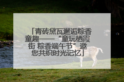 青砖黛瓦邂逅粽香童趣——“童玩栖霞街 粽香端午节”邀您共织时光记忆
