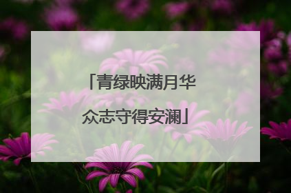青绿映满月华 众志守得安澜