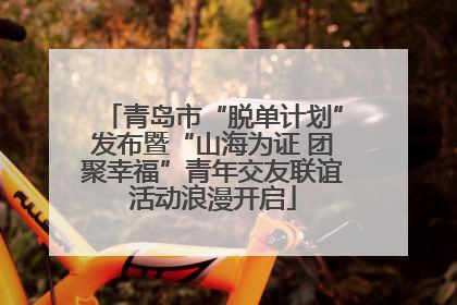 青岛市“脱单计划”发布暨“山海为证 团聚幸福”青年交友联谊活动浪漫开启