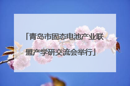 青岛市固态电池产业联盟产学研交流会举行
