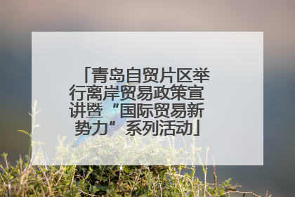 青岛自贸片区举行离岸贸易政策宣讲暨“国际贸易新势力”系列活动