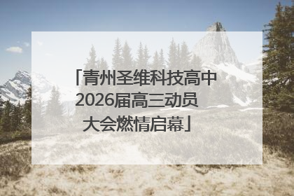 青州圣维科技高中2026届高三动员大会燃情启幕
