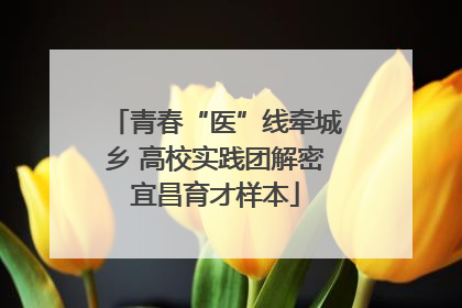 青春“医”线牵城乡 高校实践团解密宜昌育才样本