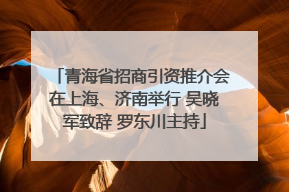 青海省招商引资推介会在上海、济南举行 吴晓军致辞 罗东川主持