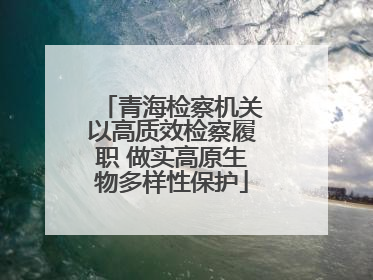 青海检察机关以高质效检察履职 做实高原生物多样性保护