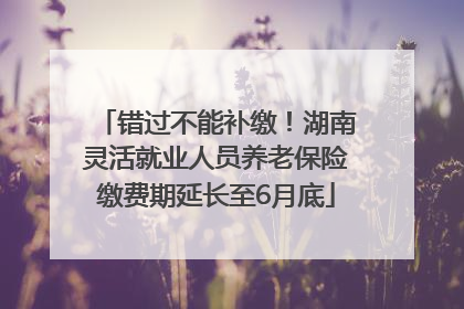 错过不能补缴！湖南灵活就业人员养老保险缴费期延长至6月底