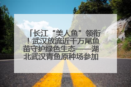 长江“美人鱼”领衔！武汉放流近千万尾鱼苗守护绿色生态——湖北武汉青鱼原种场参加2025年“全国放鱼日”增殖放流活动