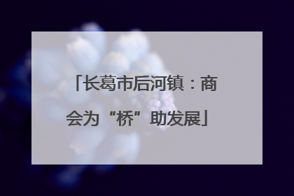长葛市后河镇：商会为“桥”助发展
