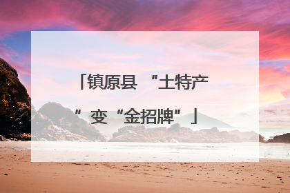 镇原县 “土特产”变“金招牌”