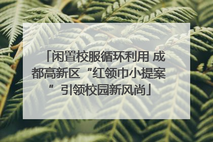 闲置校服循环利用 成都高新区“红领巾小提案”引领校园新风尚