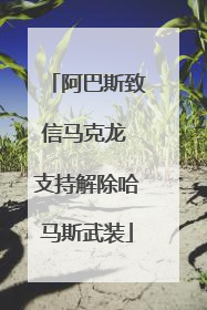 阿巴斯致信马克龙 支持解除哈马斯武装
