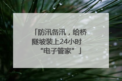 防汛备汛，给桥隧坡装上24小时“电子管家”