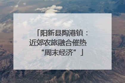 阳新县陶港镇：近郊农旅融合催热“周末经济”