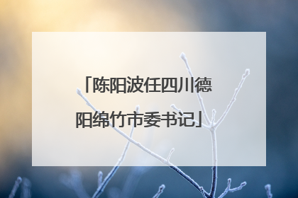 陈阳波任四川德阳绵竹市委书记