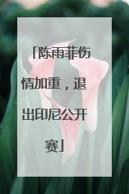 陈雨菲伤情加重，退出印尼公开赛