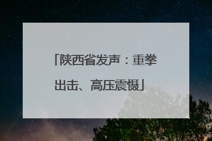 陕西省发声：重拳出击、高压震慑