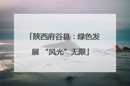 陕西府谷县：绿色发展 “风光”无限
