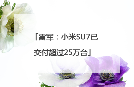 雷军：小米SU7已交付超过25万台