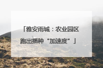 雅安雨城：农业园区跑出播种“加速度”