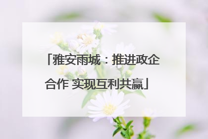 雅安雨城：推进政企合作 实现互利共赢