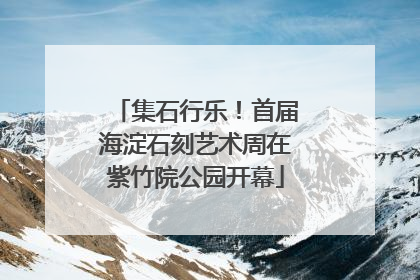 集石行乐！首届海淀石刻艺术周在紫竹院公园开幕