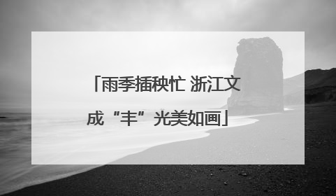 雨季插秧忙 浙江文成“丰”光美如画
