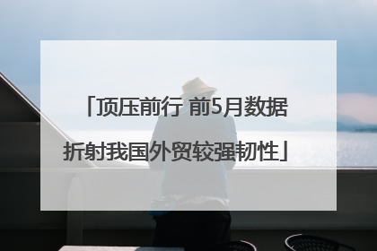 顶压前行 前5月数据折射我国外贸较强韧性