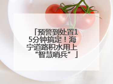 预警到处置15分钟搞定！海宁道路积水用上“智慧哨兵”