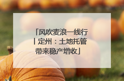 风吹麦浪一线行丨定州：土地托管带来稳产增收