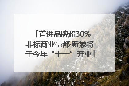 首进品牌超30% 非标商业亳都·新象将于今年“十一”开业