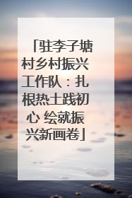驻李子塘村乡村振兴工作队：扎根热土践初心 绘就振兴新画卷