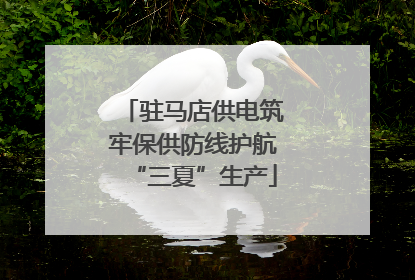 驻马店供电筑牢保供防线护航“三夏”生产