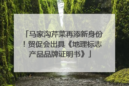 马家沟芹菜再添新身份！贸促会出具《地理标志产品品牌证明书》