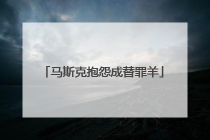 马斯克抱怨成替罪羊