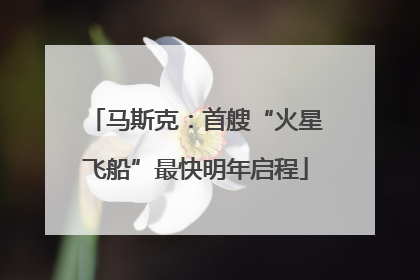 马斯克：首艘“火星飞船”最快明年启程