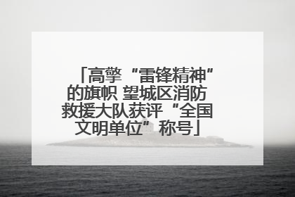 高擎“雷锋精神”的旗帜 望城区消防救援大队获评“全国文明单位”称号