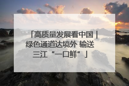 高质量发展看中国｜绿色通道达境外 输送三江“一口鲜”