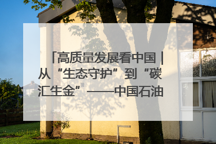 高质量发展看中国｜从“生态守护”到“碳汇生金”——中国石油大庆油田绿色蝶变