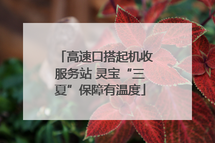 高速口搭起机收服务站 灵宝“三夏”保障有温度