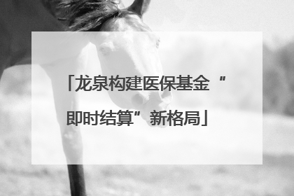 龙泉构建医保基金“即时结算”新格局