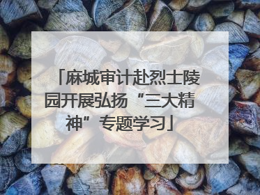 麻城审计赴烈士陵园开展弘扬“三大精神”专题学习