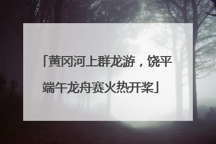 黄冈河上群龙游，饶平端午龙舟赛火热开桨