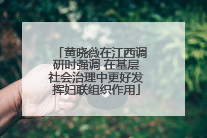 黄晓薇在江西调研时强调 在基层社会治理中更好发挥妇联组织作用