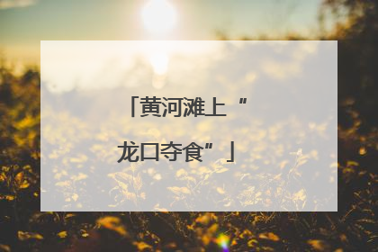 黄河滩上“龙口夺食”