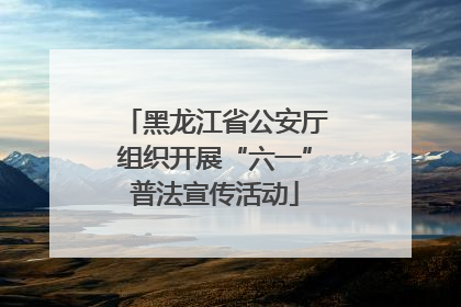 黑龙江省公安厅组织开展“六一”普法宣传活动