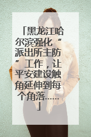 黑龙江哈尔滨强化“派出所主防”工作，让平安建设触角延伸到每个角落……