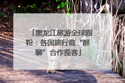 黑龙江旅游全球圈粉：各国旅行商“群聊”合作揽客
