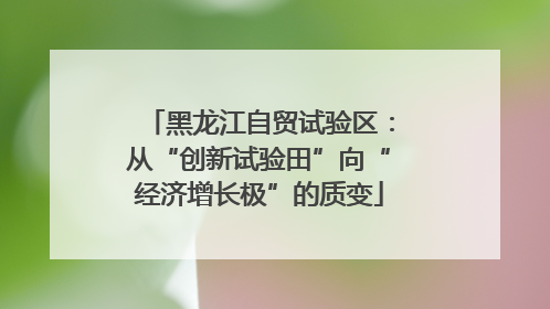 黑龙江自贸试验区：从“创新试验田”向“经济增长极”的质变